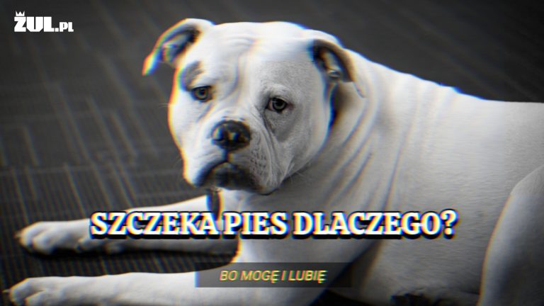 szczek